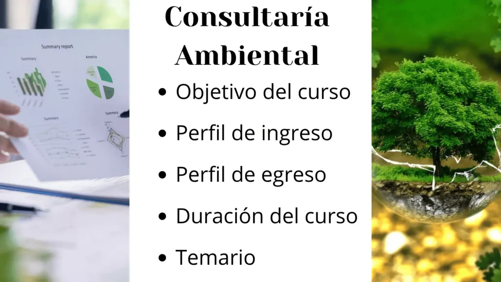 CONSULTARÍA AMBIENTAL