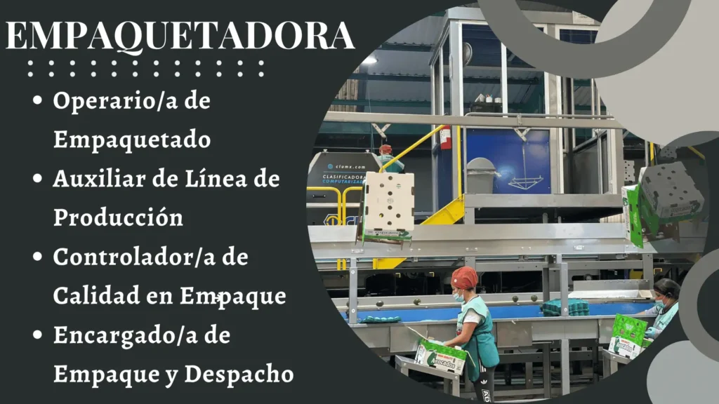 EMPAQUETADORA